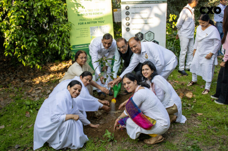 Tree Plantation Drive