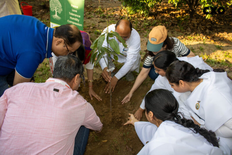 Tree-Plantation-ORC (2)
